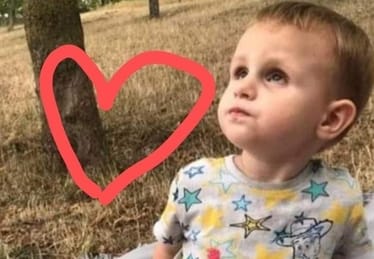 Main photo uploaded by the user