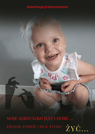 Zdjęcie główne wgrane przez użytkownika