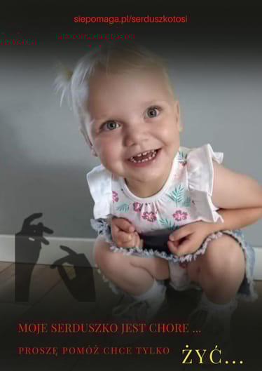 Main photo uploaded by the user