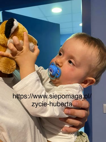 Main photo uploaded by the user