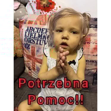 Zdjęcie główne wgrane przez użytkownika