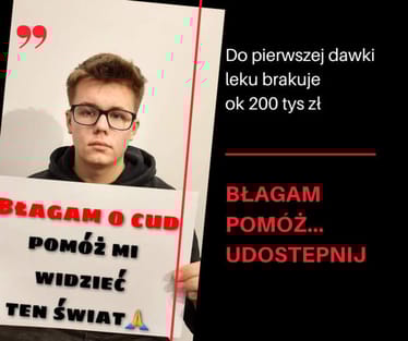 Zdjęcie główne wgrane przez użytkownika