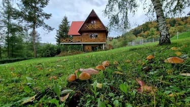 Zdjęcie główne wgrane przez użytkownika