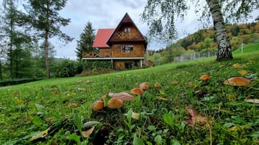 Main photo uploaded by the user