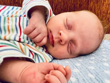 Zdjęcie główne wgrane przez użytkownika