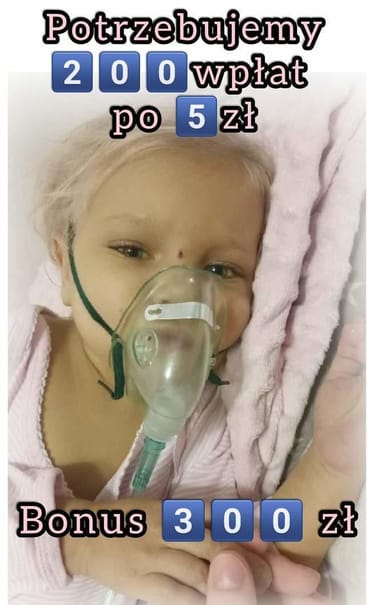 Main photo uploaded by the user