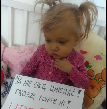 Zdjęcie główne wgrane przez użytkownika