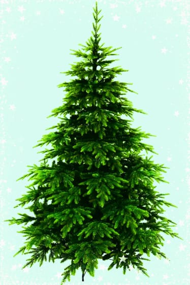 Zdjęcie główne wgrane przez użytkownika