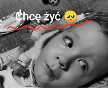 Zdjęcie główne wgrane przez użytkownika