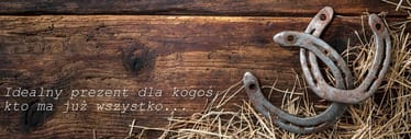 Main photo uploaded by the user