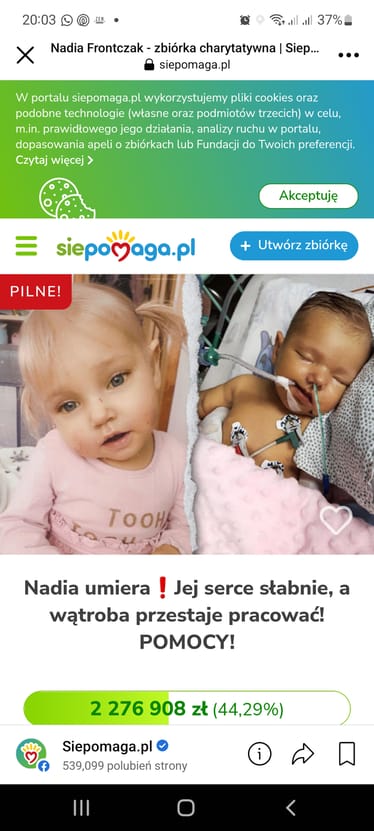 Main photo uploaded by the user