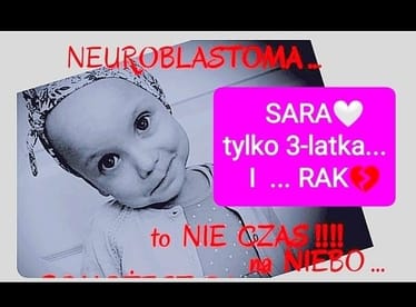 Main photo uploaded by the user