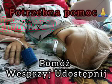 Zdjęcie główne wgrane przez użytkownika