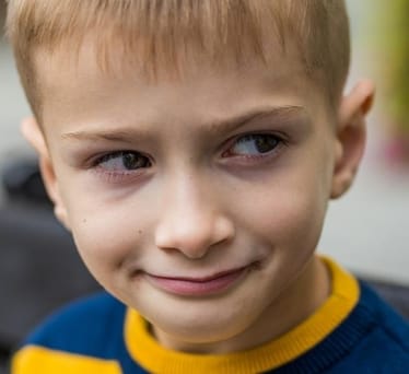 Zdjęcie główne wgrane przez użytkownika