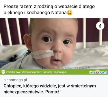 Zdjęcie główne wgrane przez użytkownika