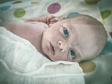 Zdjęcie główne wgrane przez użytkownika