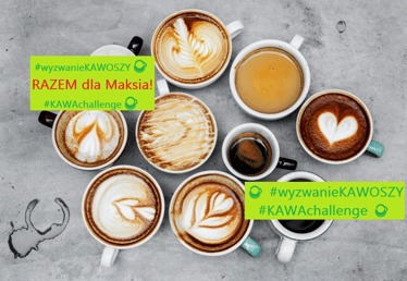 Zdjęcie główne wgrane przez użytkownika