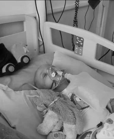 Zdjęcie główne wgrane przez użytkownika