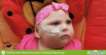 Main photo uploaded by the user