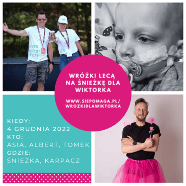 Zdjęcie główne wgrane przez użytkownika