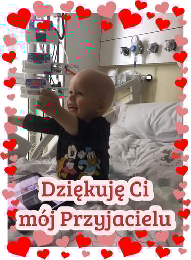 Zdjęcie główne wgrane przez użytkownika