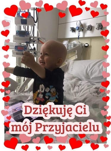 Zdjęcie główne wgrane przez użytkownika