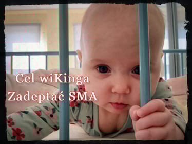 Main photo uploaded by the user