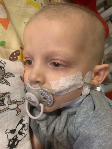 Zdjęcie główne wgrane przez użytkownika