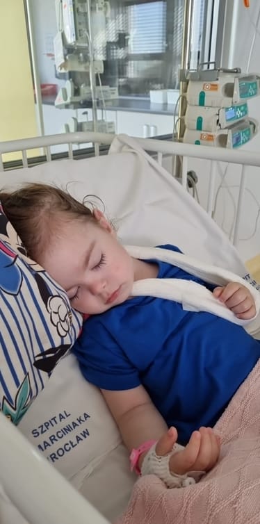 Zdjęcie główne wgrane przez użytkownika