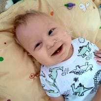 Zdjęcie główne wgrane przez użytkownika