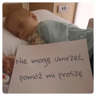 Zdjęcie główne wgrane przez użytkownika
