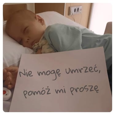 Main photo uploaded by the user