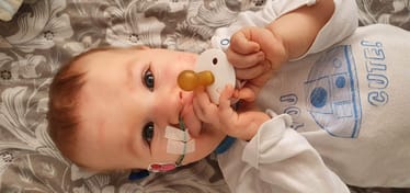 Main photo uploaded by the user