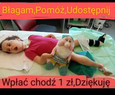 Main photo uploaded by the user