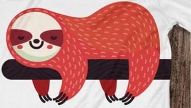 Zdjęcie główne wgrane przez użytkownika