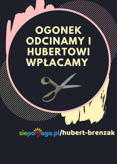 Zdjęcie główne wgrane przez użytkownika