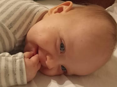 Main photo uploaded by the user