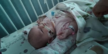 Main photo uploaded by the user