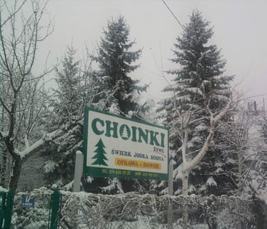 Main photo uploaded by the user