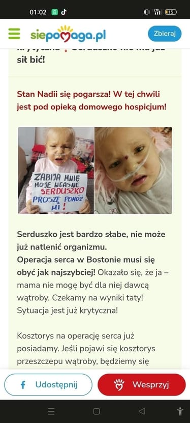 Zdjęcie główne wgrane przez użytkownika