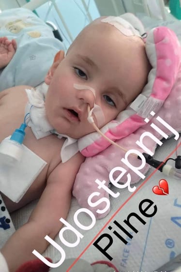 Main photo uploaded by the user