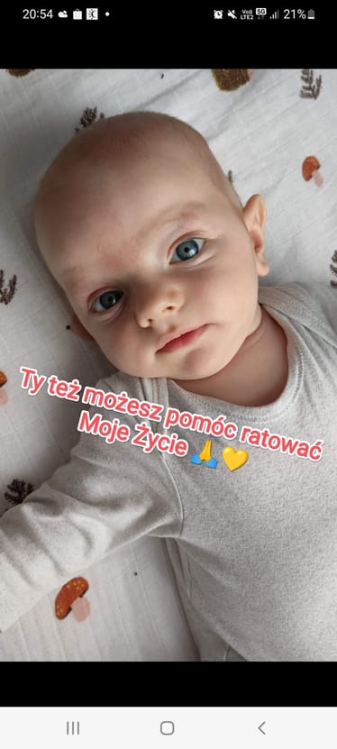 Zdjęcie główne wgrane przez użytkownika