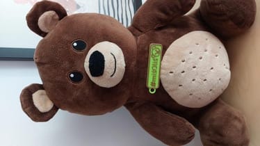 Zdjęcie główne wgrane przez użytkownika