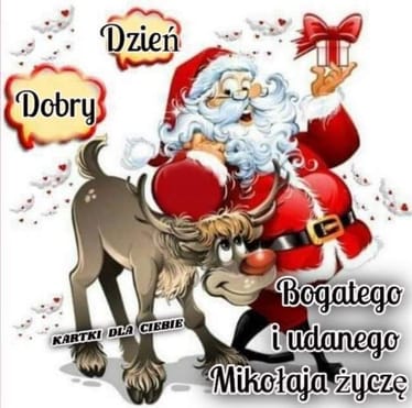 Zdjęcie główne wgrane przez użytkownika