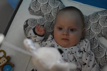 Zdjęcie główne wgrane przez użytkownika