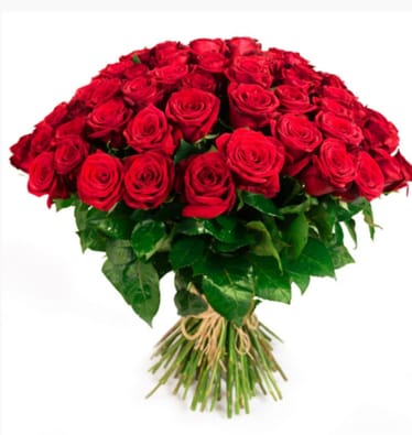 Main photo uploaded by the user