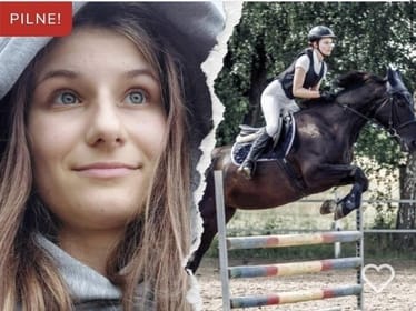 Zdjęcie główne wgrane przez użytkownika