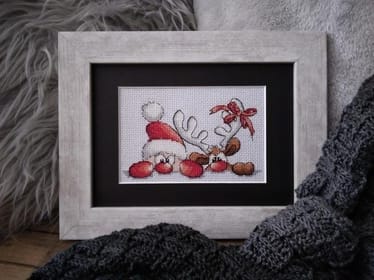 Main photo uploaded by the user