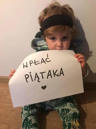 Zdjęcie główne wgrane przez użytkownika