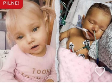 Zdjęcie główne wgrane przez użytkownika